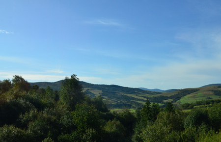 Fragment of the mountainous terrain in the Carpathians, Ukraine. The forest is forgiven by the reliefs of the Carpathian Mountainsの写真素材
