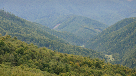 Fragment of the mountainous terrain in the Carpathians, Ukraine. The forest is forgiven by the reliefs of the Carpathian Mountainsの写真素材