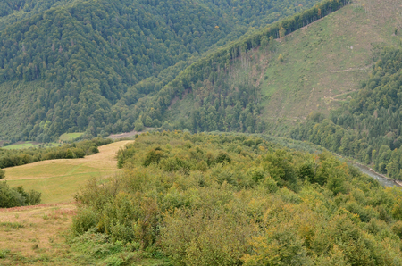 Fragment of the mountainous terrain in the Carpathians, Ukraine. The forest is forgiven by the reliefs of the Carpathian Mountainsの写真素材