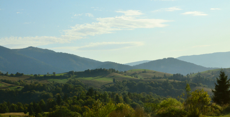 Photo of the Carpathian Mountains, which have a lot of coniferous trees. Forest and mountain landscape meadows in the early autumn seasonの写真素材
