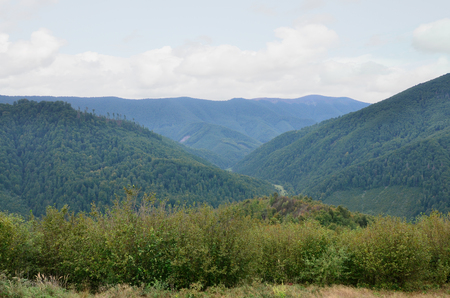 Fragment of the mountainous terrain in the Carpathians, Ukraine. The forest is forgiven by the reliefs of the Carpathian Mountainsの写真素材