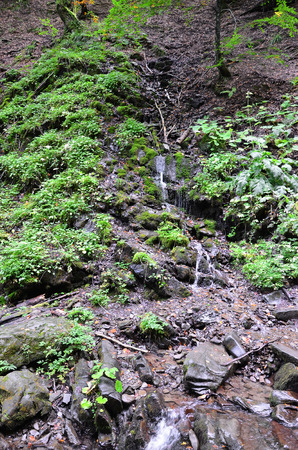 Close-up image of a small water stream in a mountainous areaの写真素材