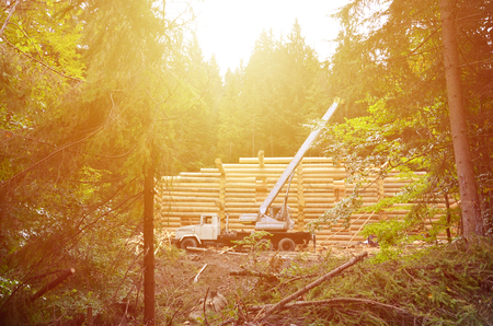 The process of building a wooden house from wooden beams of cylindrical shape. Crane in working conditionの写真素材