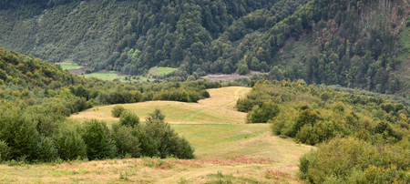 Fragment of the mountainous terrain in the Carpathians, Ukraine. The forest is forgiven by the reliefs of the Carpathian Mountainsの写真素材