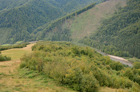 Fragment of the mountainous terrain in the Carpathians, Ukraine. The forest is forgiven by the reliefs of the Carpathian Mountainsの写真素材