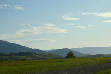 Photo of the Carpathian Mountains, which have a lot of coniferous trees. Forest and mountain landscape meadows in the early autumn seasonの写真素材