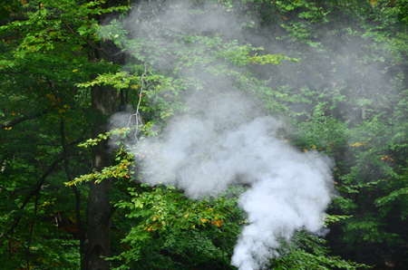 White smoke spreads over the background of forest treesの写真素材