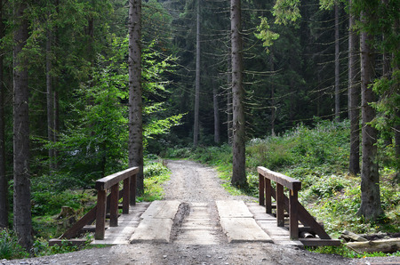 A small short bridge across the river for driving cars in the middle of the forestの写真素材