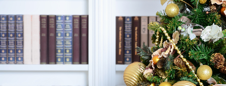 A beautiful decorated Christmas tree on the background of a bookshelf with many books of different colors. Christmas background image of the libraryの写真素材