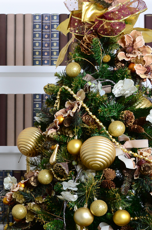A beautiful decorated Christmas tree on the background of a bookshelf with many books of different colors. Christmas background image of the libraryの写真素材