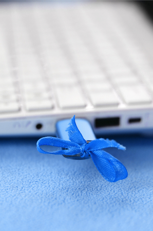 A brilliant blue USB flash drive with a blue bow is connected to a white laptop, which lies on a blanket of soft and fluffy light blue fleece fabric. Classic female design for a memory cardの写真素材