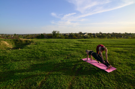 Two young fair-haired girls in sports suits practice yoga on a picturesque green hill in the open air in the evening. The concept of sport  exercising outdoorsの写真素材