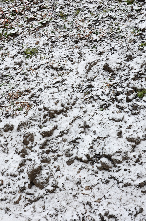 The texture of the ground, covered with a thin layer of snow. The soil of the garden in winter. The dug ground close upの写真素材