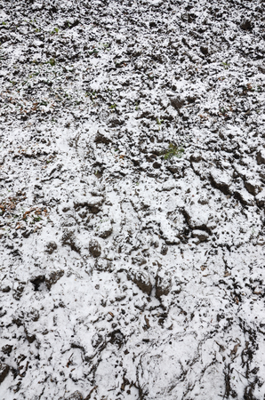 The texture of the ground, covered with a thin layer of snow. The soil of the garden in winter. The dug ground close upの写真素材