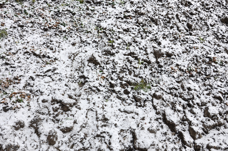 The texture of the ground, covered with a thin layer of snow. The soil of the garden in winter. The dug ground close upの写真素材