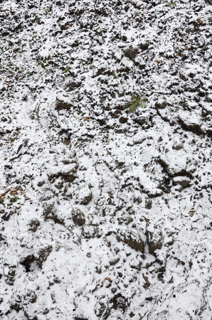 The texture of the ground, covered with a thin layer of snow. The soil of the garden in winter. The dug ground close upの写真素材