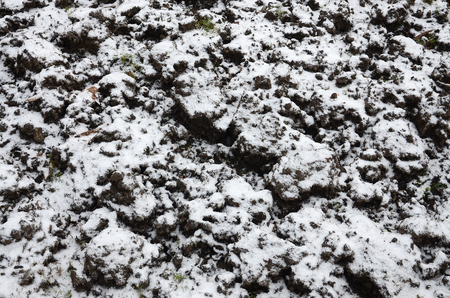 The texture of the ground, covered with a thin layer of snow. The soil of the garden in winter. The dug ground close upの写真素材