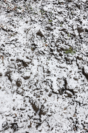 The texture of the ground, covered with a thin layer of snow. The soil of the garden in winter. The dug ground close upの写真素材