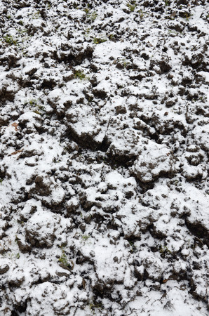 The texture of the ground, covered with a thin layer of snow. The soil of the garden in winter. The dug ground close upの写真素材