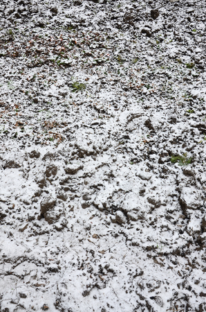 The texture of the ground, covered with a thin layer of snow. The soil of the garden in winter. The dug ground close upの写真素材