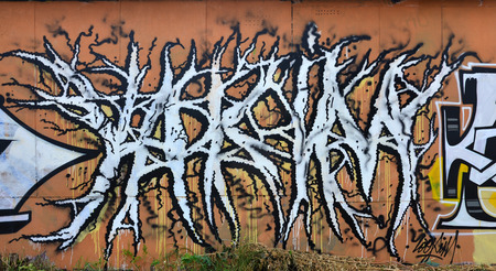 A photograph of a detailed wall artwork. Graffiti drawing is made with white paint with black outlines and has a monophonic orange background. Texture of wall with graffiti decorationの写真素材