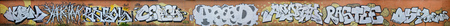 A photo of several graffiti artworks on the metal wall. Graffiti drawings are made with white paint...