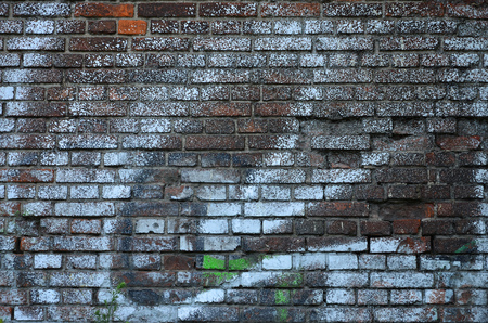 Detailed image of color graffiti drawing. Background street art pictureの写真素材