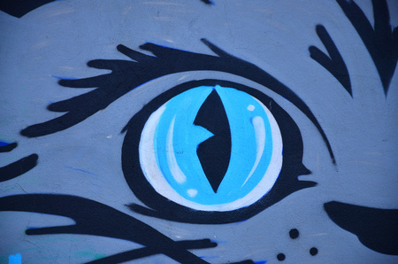 A detailed image of the graffiti drawing. A conceptual street art background with a muzzle of an evil catの写真素材