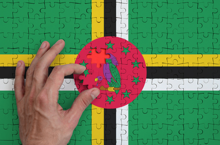Dominica flag  is depicted on a puzzle, which the man's hand completes to fold.の写真素材