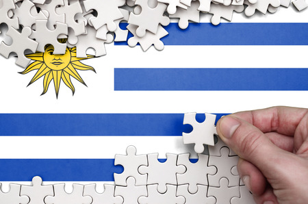Uruguay flag  is depicted on a table on which the human hand folds a puzzle of white color.の写真素材