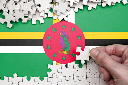 Dominica flag  is depicted on a table on which the human hand folds a puzzle of white color.の写真素材