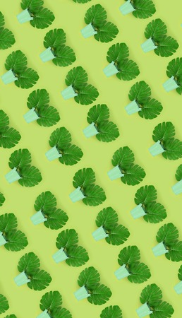 Tropical palm monstera leaves lies in a pastel pails on a colored background. Flat lay trendy...
