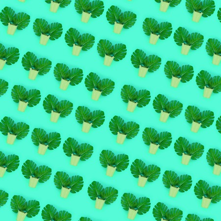 Tropical palm monstera leaves lies in a pastel pails on a colored background. Flat lay trendy minimal pattern. Top view.の写真素材
