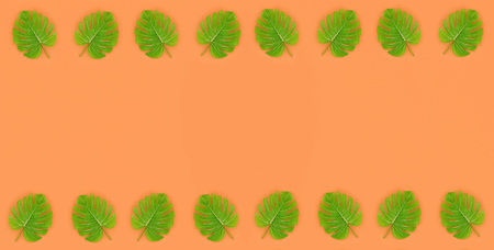 Tropical palm monstera leaves lies on a pastel colored paper. Nature summer concept pattern. Flat...