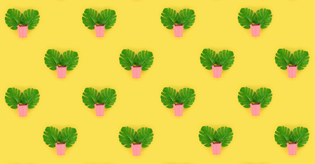 Tropical palm monstera leaves lies in a pastel pails on a colored background. Flat lay trendy...