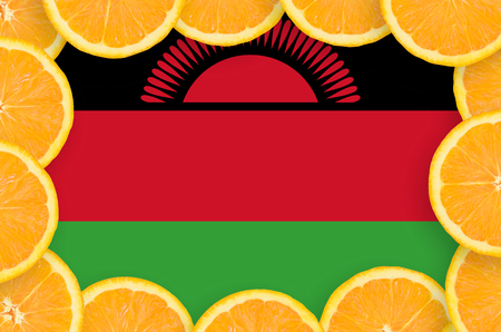 Malawi flag  in frame of orange citrus fruit slices. Concept of growing as well as import and export of citrus fruitsの写真素材