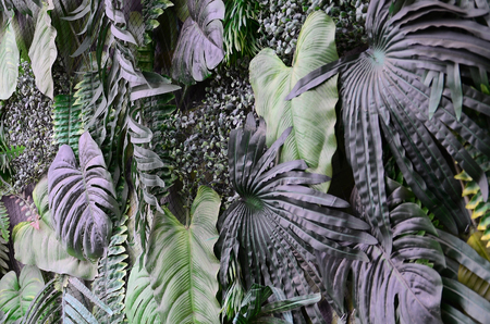 Tropical green leaves background, fern, palm and Monstera Deliciosa leaf on wall. Floral jungle...