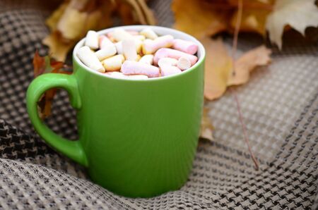 Autumn leaves and hot steaming cup of coffee lies on checkered plaid outdoors. Fall time concept...