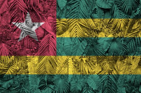 Togo flag depicted on many leafs of monstera palm trees. Trendy fashionable backgroundの写真素材