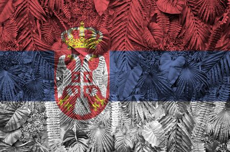 Serbia flag depicted on many leafs of monstera palm trees. Trendy fashionable backgroundの写真素材
