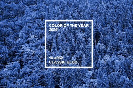 Texture of a mountain forest with many trees. View from high. Phantom classic blue color tone
