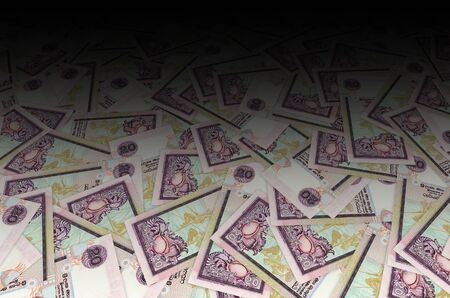 Pattern of 20 Sri Lanka rupees banknote is national currency of Sri Lanka. Side of money bill close...