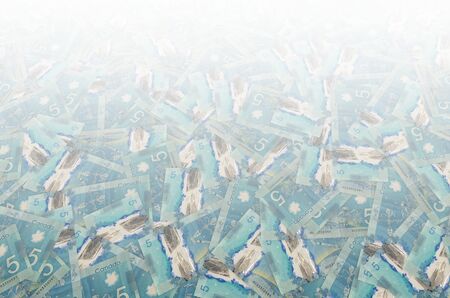 Dextre and canadarm2 on Canada 5 Dollars 2013 Polymer Banknote pattern close up
