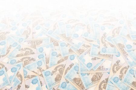 Castle tower in Lutsk from old Ukrainian 200 Hryvnia bill 1994 Banknote close up
