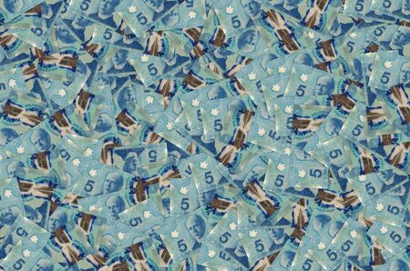 Sir Wilfrid Laurier Portrait from Canada 5 Dollars 2013 Polymer Banknotes pattern close up