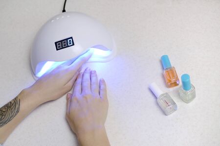 Hands of young woman at manicure procedure close up on white background. Woman Nail Polish process. Female using shellac uv led lamp for quick dryingの写真素材