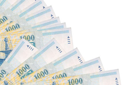 1000 Hungarian forint bills lies isolated on white background with copy space stacked in fan close...