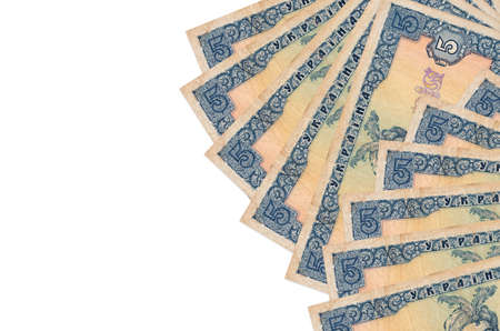 5 Ukrainian hryvnias bills lies isolated on white background with copy space. Rich life conceptual...