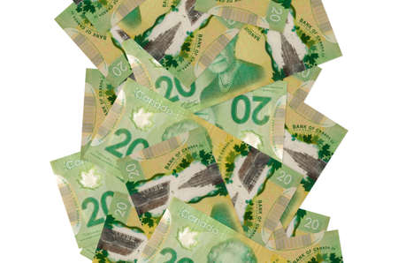 20 Canadian dollars bills flying down isolated on white. Many banknotes falling with white copy...