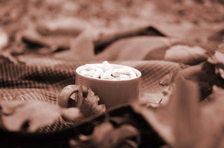 Autumn leaves and hot steaming cup of coffee lies on checkered plaid outdoors. Fall time concept...